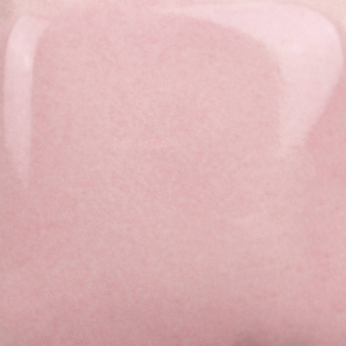 THE SHISHIKUI Color baker / Pinky シシクイ THE SHISHIKUI Color baker / Pinky シシクイ