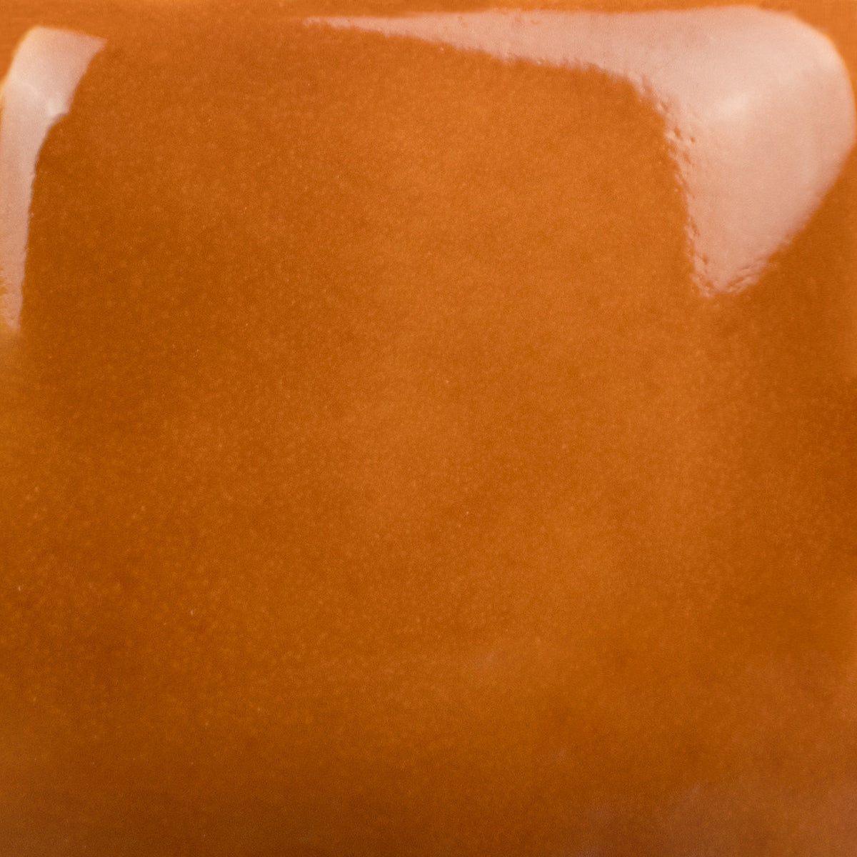 Camel Back SC-48 Stroke and Coat Mayco – The Potter's Center