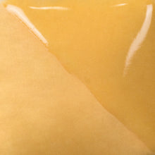 Load image into Gallery viewer, Squash Yellow Mayco Fundamentals Underglaze UG-203