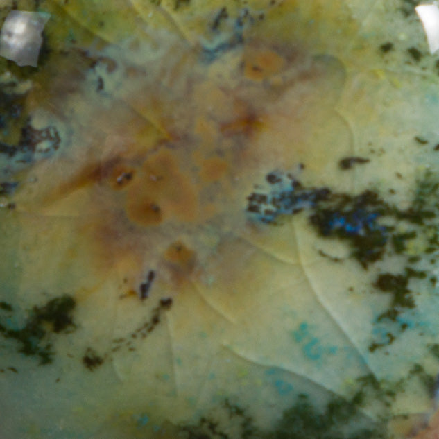 Mountain Moss CG-991 Jungle Gems Mayco – The Potter's Center