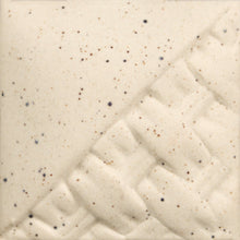 Load image into Gallery viewer, Speckled Buff Engobe EG-002 Mayco Pint