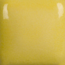 Load image into Gallery viewer, Sun Yellow Foundations Sheer Pint