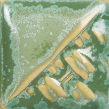 Load image into Gallery viewer, Ivy SW-193 Stoneware Mayco Pint
