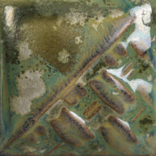 Load image into Gallery viewer, Ivy SW-193 Stoneware Mayco Pint