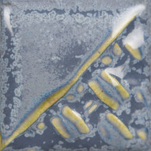 Load image into Gallery viewer, Nimbus SW-194 Stoneware Mayco Pint