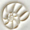 Load image into Gallery viewer, MKM Medium Round Stamp Nautilus SCM-021