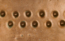 Load image into Gallery viewer, Saturation Gold 35419A Potter's Choice (Pint) Amaco PC-2