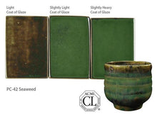 Load image into Gallery viewer, Seaweed 35422E Potter's Choice PINT Cone 5 Amaco PC-42