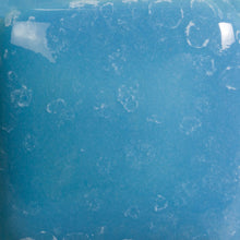 Load image into Gallery viewer, Speckled Blue Yonder SP-211 Speckled Stroke and Coat Mayco