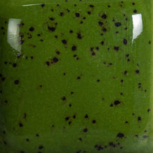 Load image into Gallery viewer, Speckled Green Thumb SP-226 Speckled Stroke and Coat Mayco