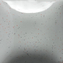 Load image into Gallery viewer, Speckled Silver Lining SP-260 Speckled Stroke and Coat Mayco