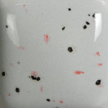 Load image into Gallery viewer, Speckled Silver Lining SP-260 Speckled Stroke and Coat Mayco