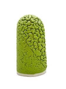 Green - Moon Rocks Ritual Glaze Pint Cone 5-6