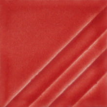 Load image into Gallery viewer, Ruby Red Foundations Sheer Pint