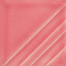 Load image into Gallery viewer, Miami Pink Foundations Sheer Pint