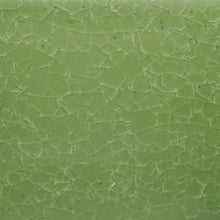 Load image into Gallery viewer, Amaco Kiln Ice Frozen Fern KI-46