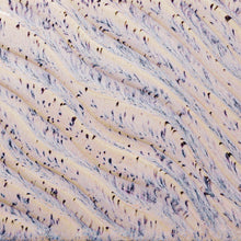 Load image into Gallery viewer, Aurora Breeze Potter&#39;s Choice Flux Cone 5 Glaze (Pint) Amaco PCF-16