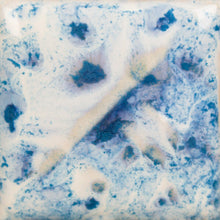 Load image into Gallery viewer, Tidal Wave SW-227 Stoneware Mayco Pint