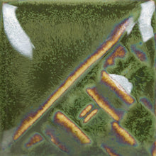 Load image into Gallery viewer, Beetlewing SW-228 Stoneware Mayco Pint