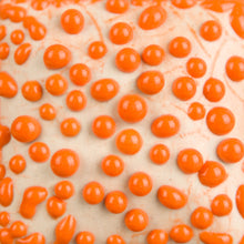 Load image into Gallery viewer, Orange Bead SW-442 Stoneware Mayco Pint