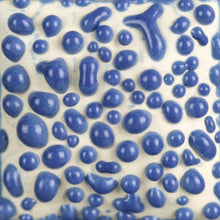 Load image into Gallery viewer, Blue Bead SW-447 Stoneware Mayco Pint