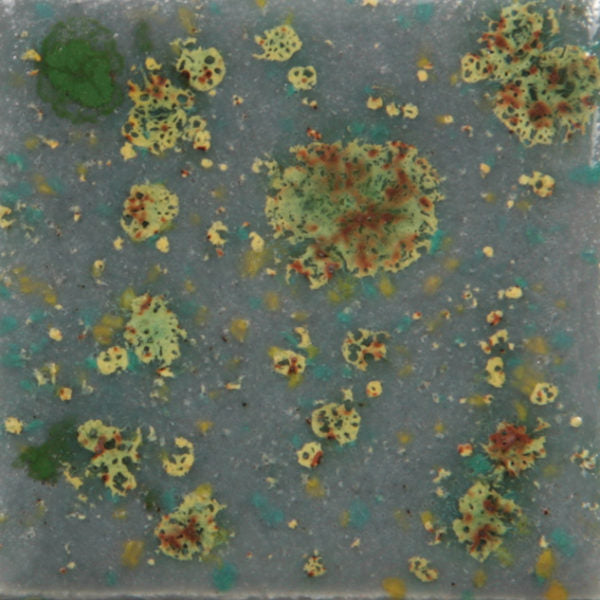 Mountain Moss CG-991 Jungle Gems Mayco – The Potter's Center