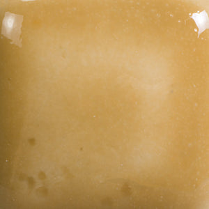 Saddle Tan Mayco Foundations Sheer Pint