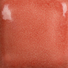 Load image into Gallery viewer, Ruby Red Foundations Sheer Pint