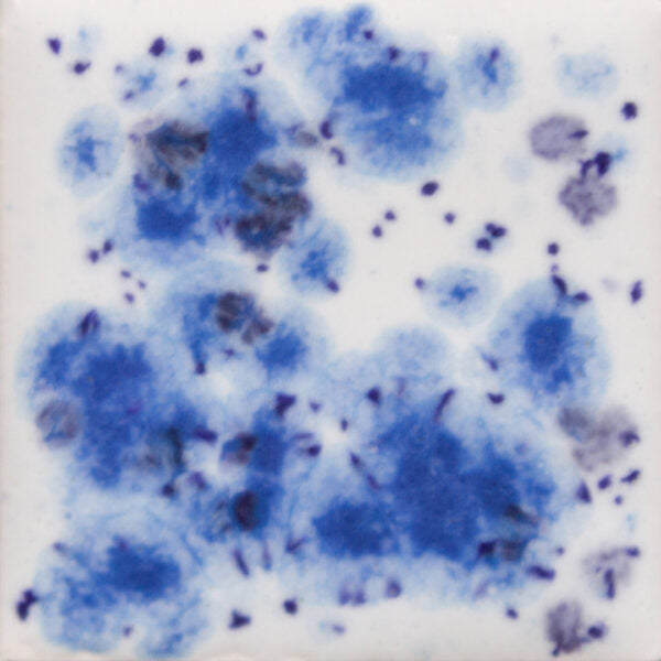 Peacock Eyes S-2701 Jungle Gems Mayco – The Potter's Center