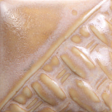 Load image into Gallery viewer, Coral Sands SW-168 Stoneware Mayco Pint