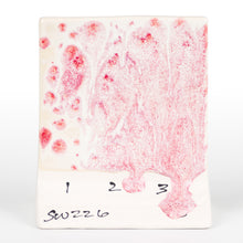 Load image into Gallery viewer, Pink Pearl SW-226 Stoneware Mayco Pint