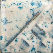 Load image into Gallery viewer, Tidal Wave SW-227 Stoneware Mayco Pint