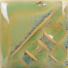 Load image into Gallery viewer, Beetlewing SW-228 Stoneware Mayco Pint