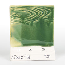 Load image into Gallery viewer, Beetlewing SW-228 Stoneware Mayco Pint