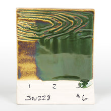 Load image into Gallery viewer, Beetlewing SW-228 Stoneware Mayco Pint