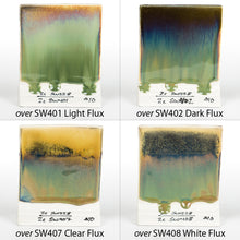 Load image into Gallery viewer, Beetlewing SW-228 Stoneware Mayco Pint