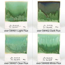 Load image into Gallery viewer, Beetlewing SW-228 Stoneware Mayco Pint