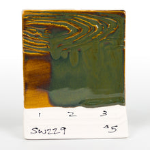 Load image into Gallery viewer, Mood Ring SW-229 Stoneware Mayco Pint
