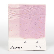 Load image into Gallery viewer, Lilac Speck SW-231 Stoneware Mayco Pint
