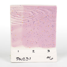Load image into Gallery viewer, Lilac Speck SW-231 Stoneware Mayco Pint
