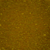Coleman Decor Color Yellow Cone 10 (2oz) Aardvark CDC-04