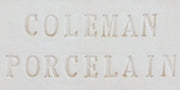 Coleman Porcelain Wet Clay Cone 10 Aardvark