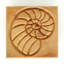 Load image into Gallery viewer, MKM Large Square Stamp Nautilus Ss1-14