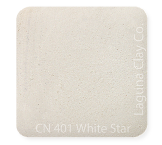 White Star Dry Casting Slip Cone 06-04 Laguna CN401D