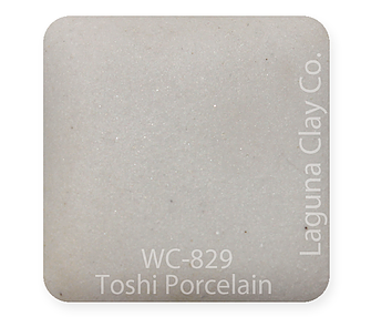 Toshi Porcelain Dry Casting Slip Cone 10 Laguna WC829D
