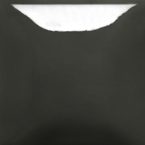 Char-ming SC-99 Stroke and Coat Mayco