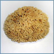 Sea Wool Sponge 4-4.5