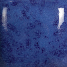 Load image into Gallery viewer, Speckled The Blues SP-231 Speckled Stroke and Coat Mayco