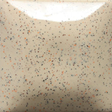 Load image into Gallery viewer, Speckled Vanilla Dip SP-254 Speckled Stroke and Coat Mayco