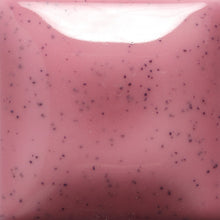 Load image into Gallery viewer, Speckled Pink-A-Dot SP-270 Speckled Stroke and Coat Mayco